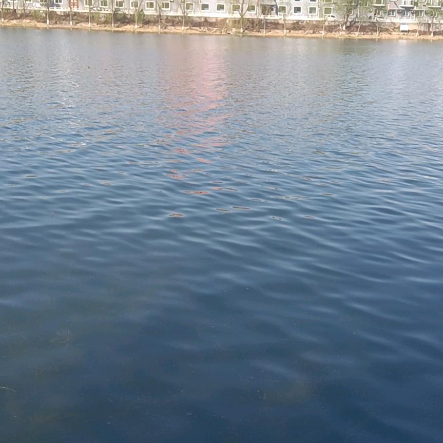 浮夸