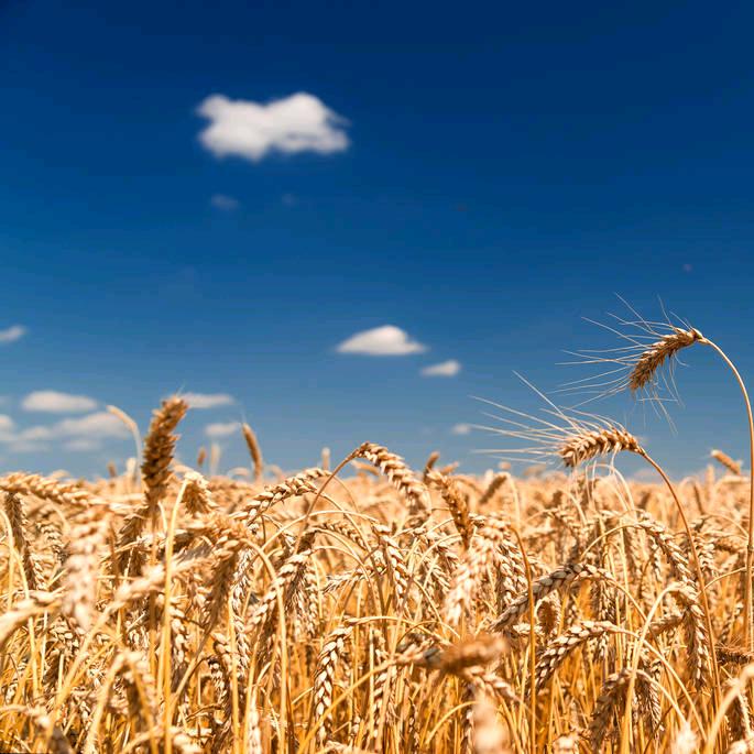 🌧伟一直都在☔️🌈