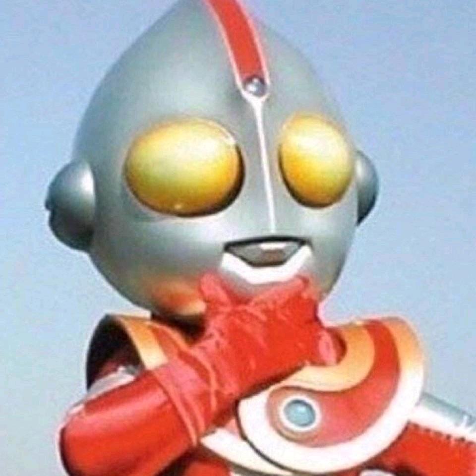 假假假人.