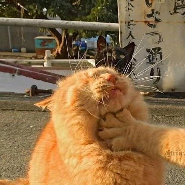 疆范儿