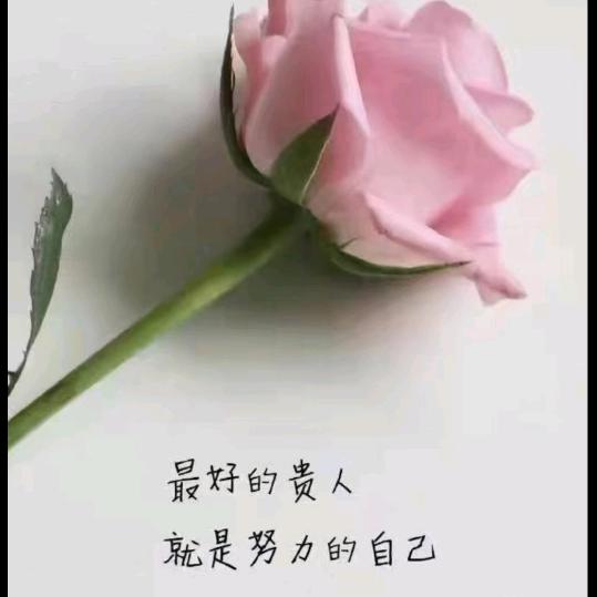 优雅🌹微笑