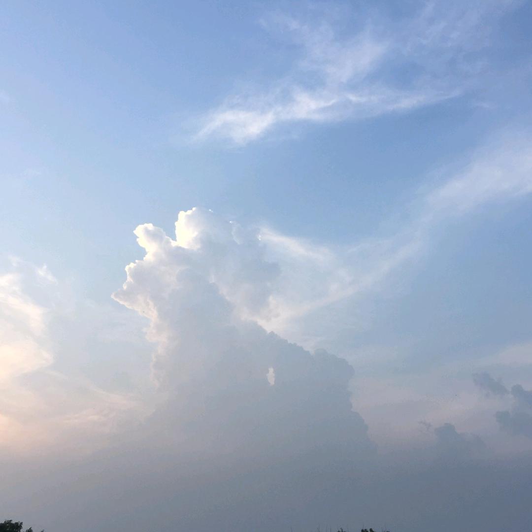 梦马韶华