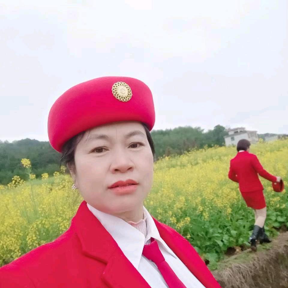 单只蝴蝶