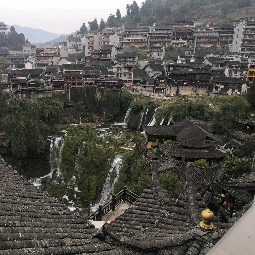 liu虎