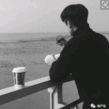 善解人意