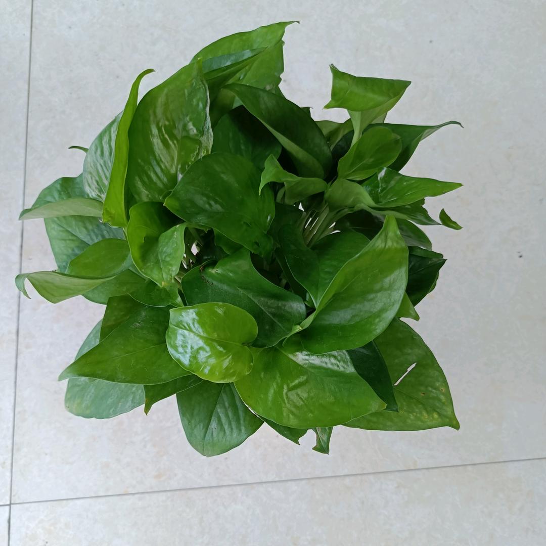 记在心里