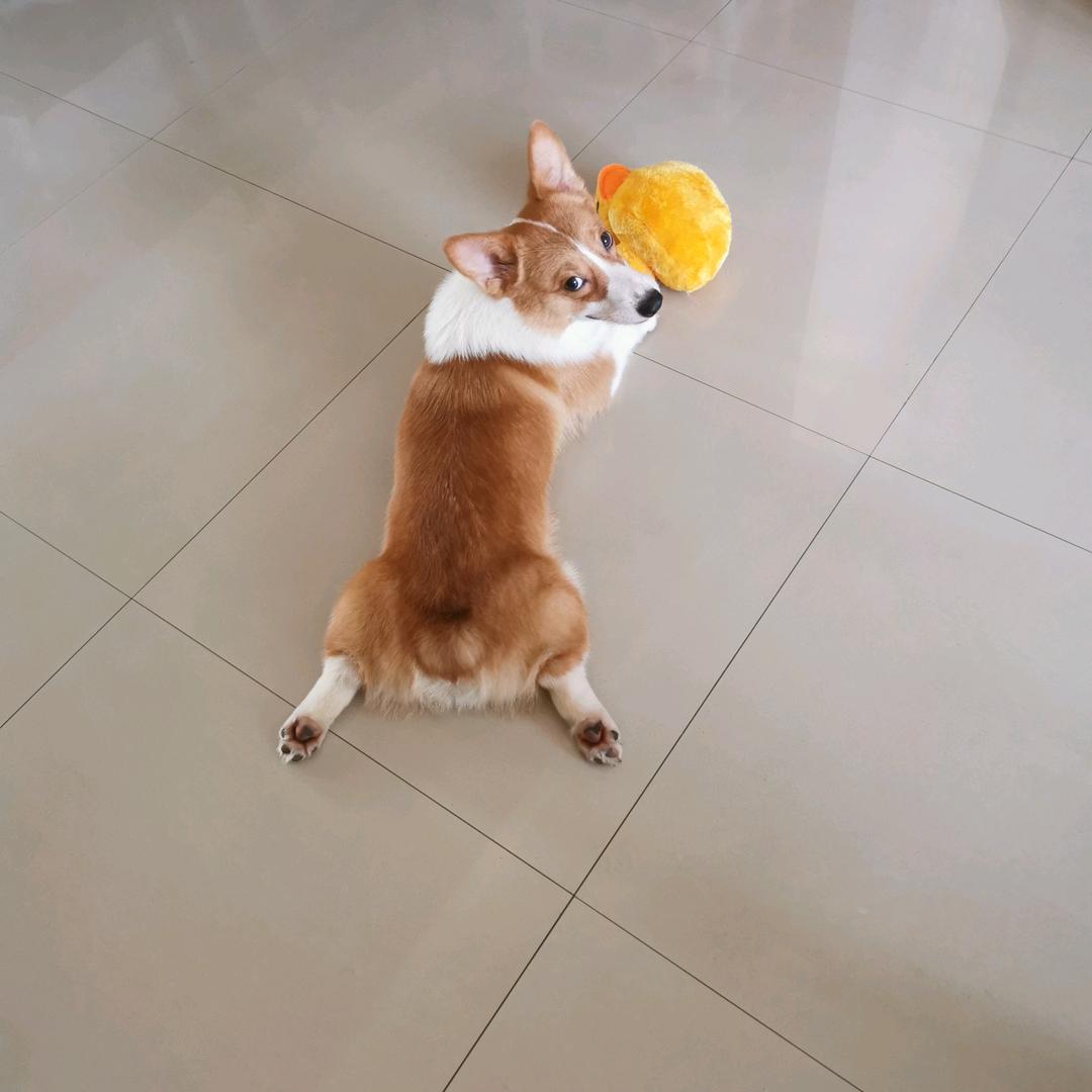 宝宝