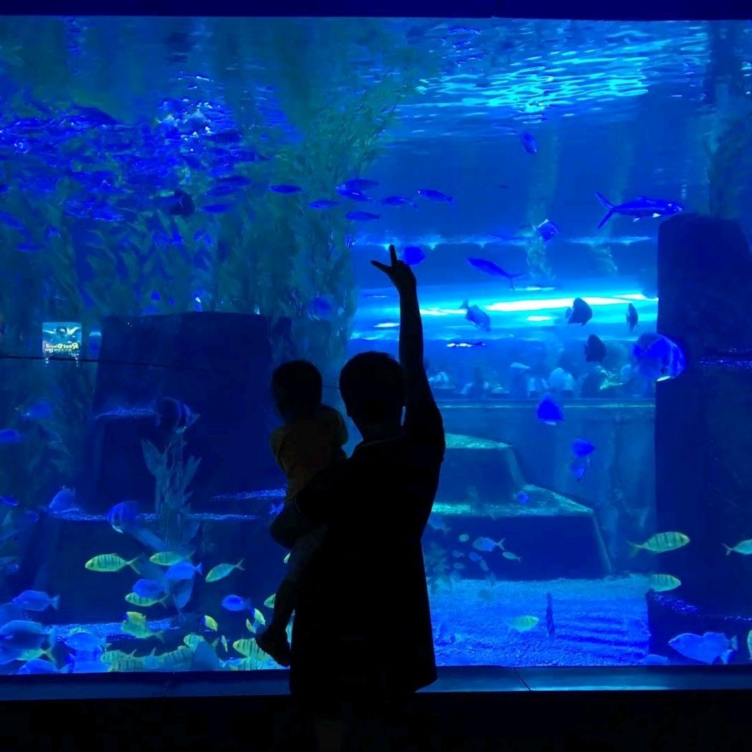 成✧٩(ˊ*成ˋ*)و✧