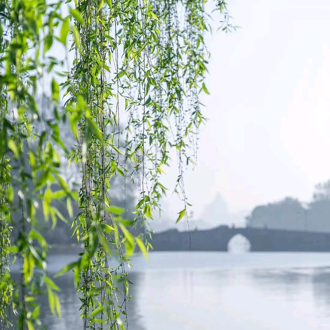 乎哈哈哈