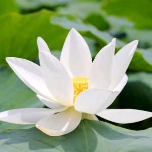 鄂伦春自治旗诺敏镇鑫锦绣宾馆