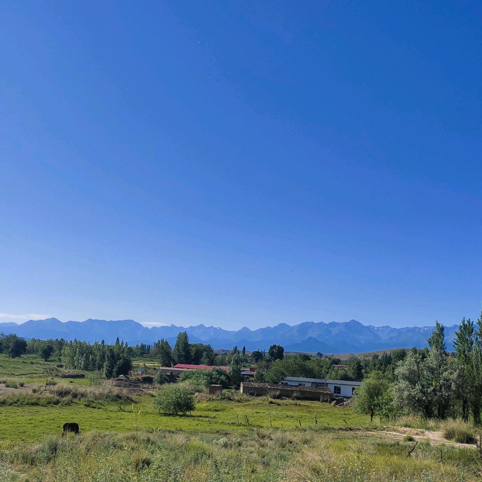 心语心愿小宝贝🍓～