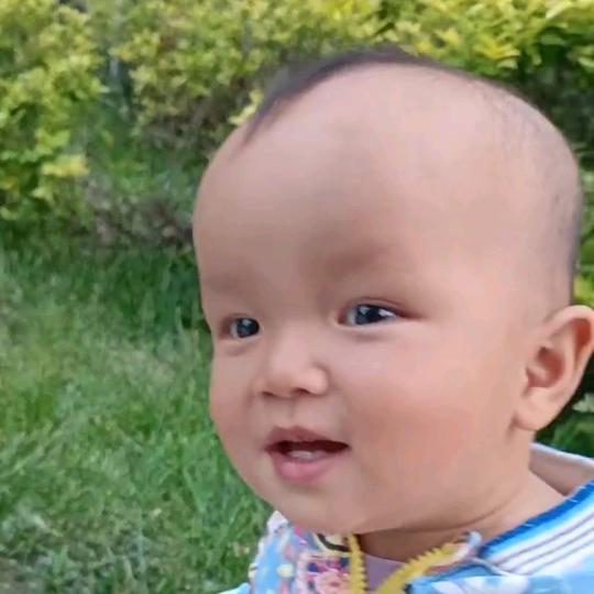 亮哥哥