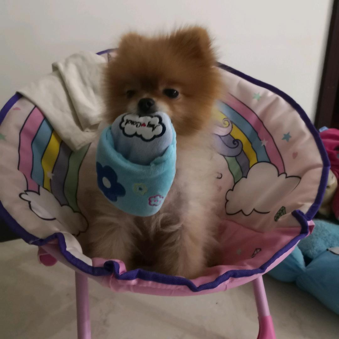 可爱多多