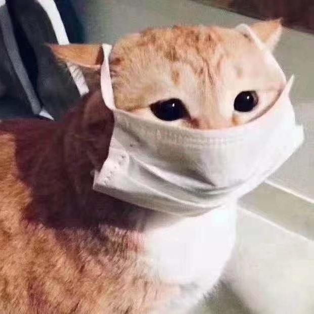 生气有什么用头像
