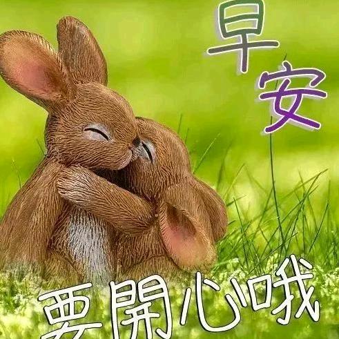 发展才是硬道理