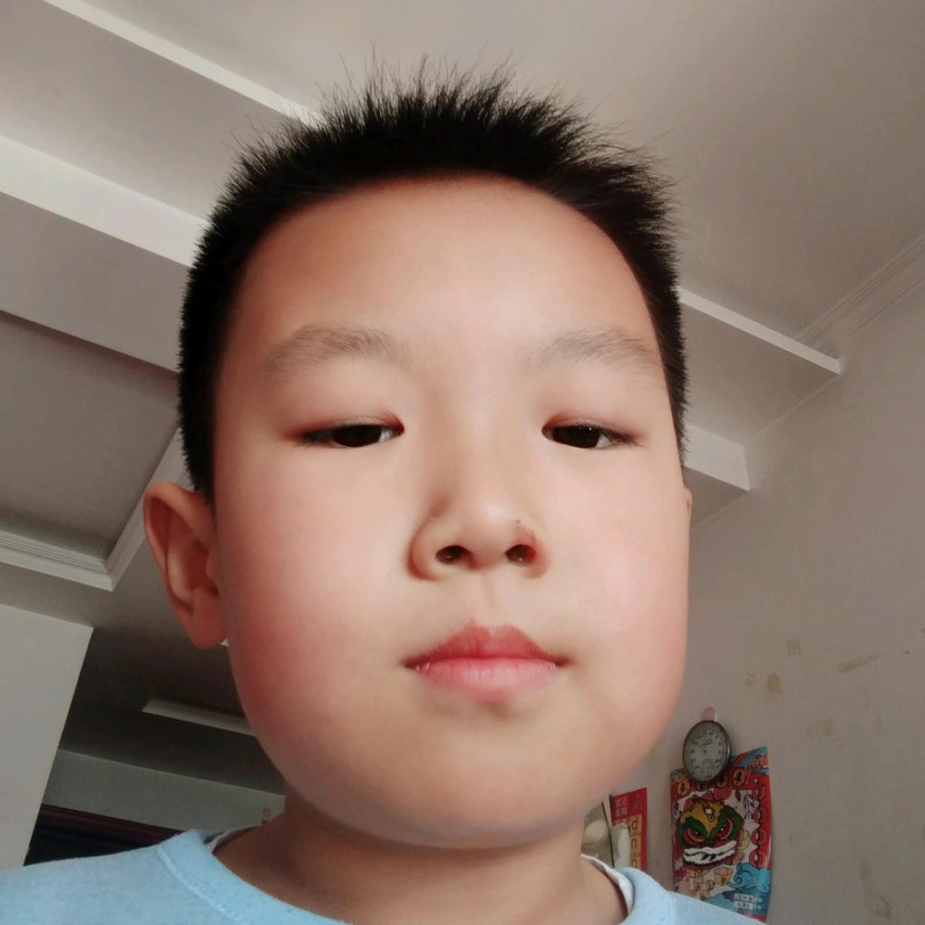 皮皮