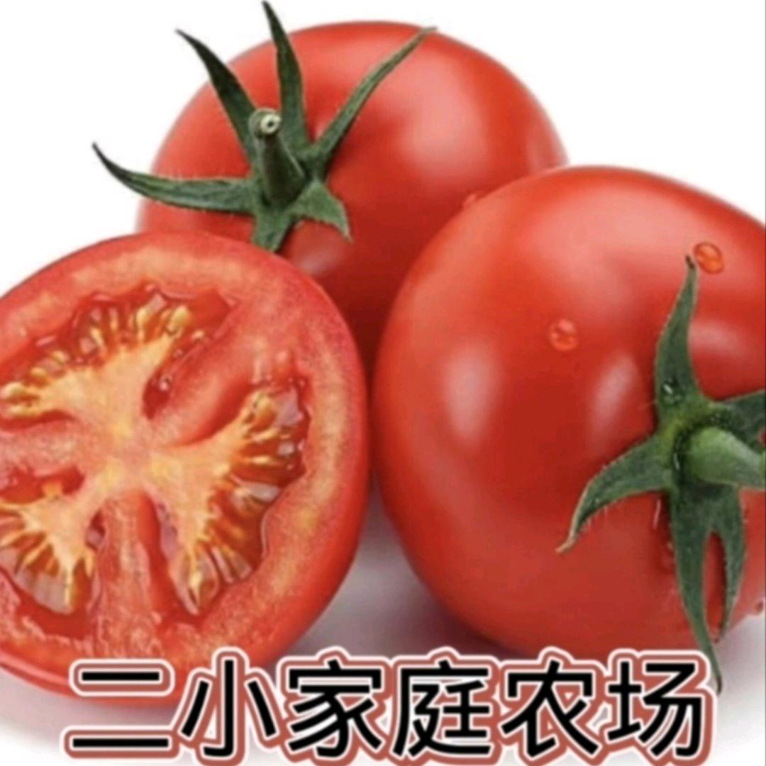 赤峰蔬菜代收二小