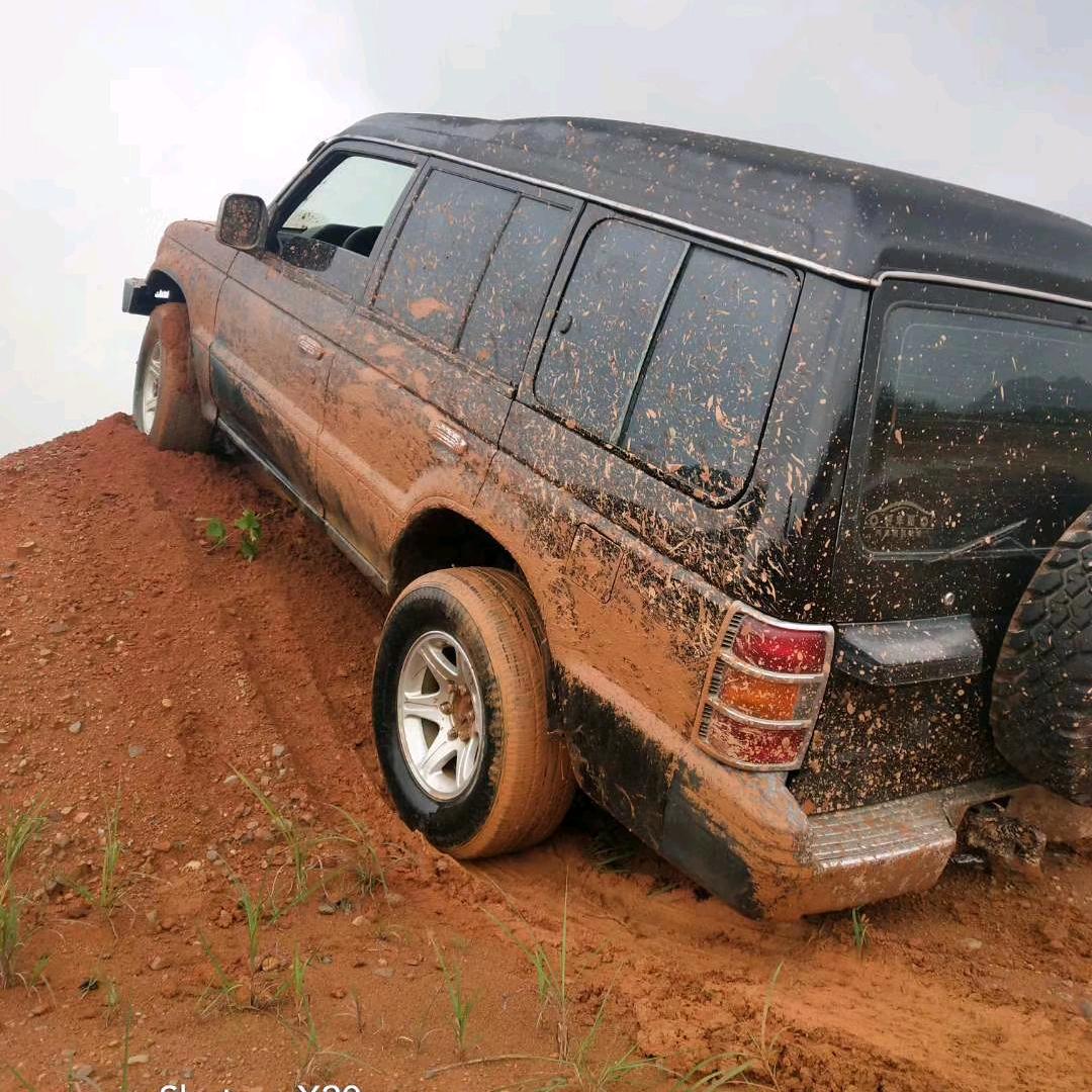 伟哥二手车卖买