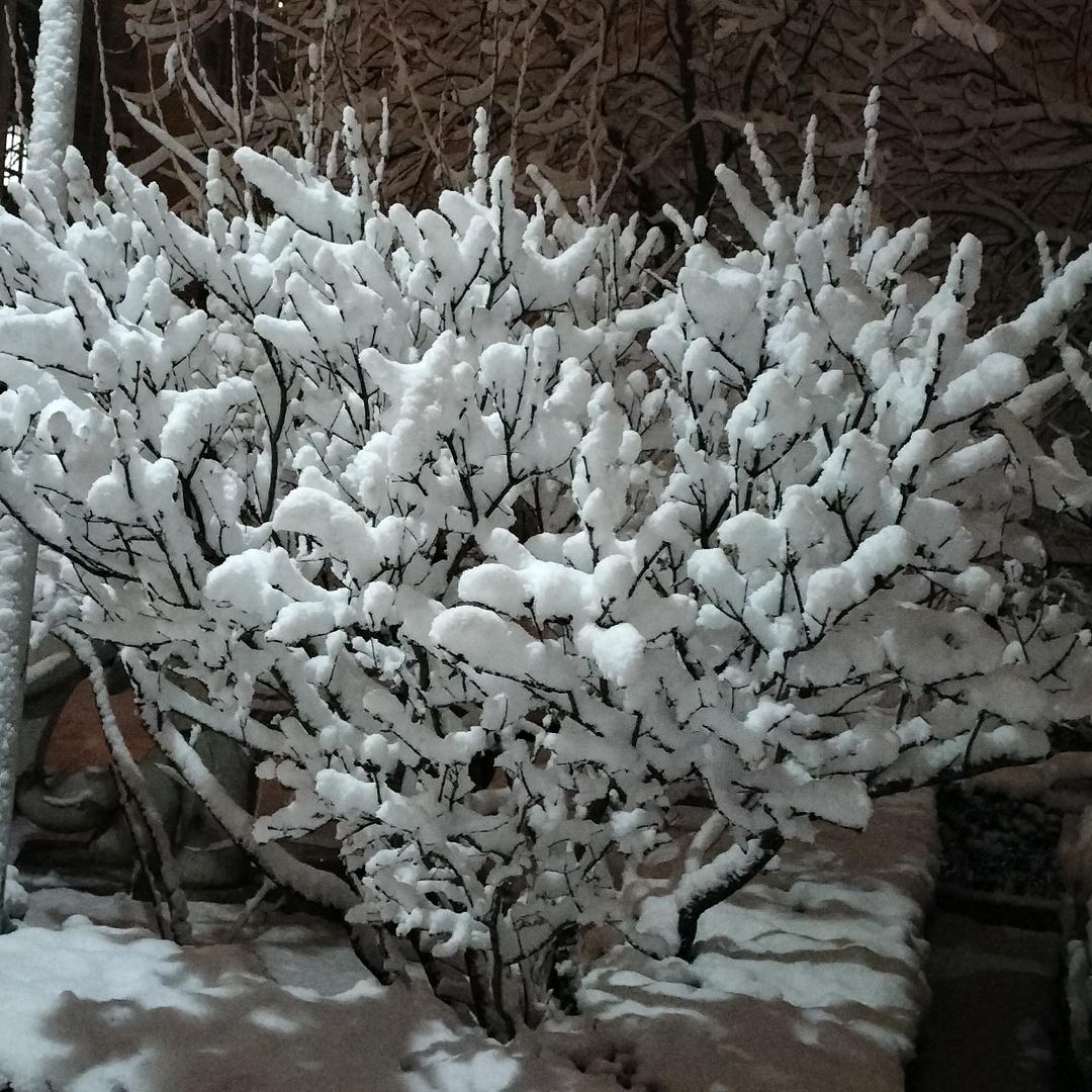 北斗七星