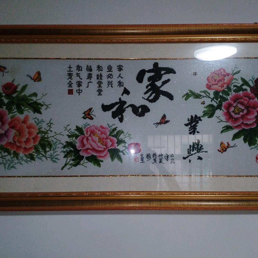 老杨
