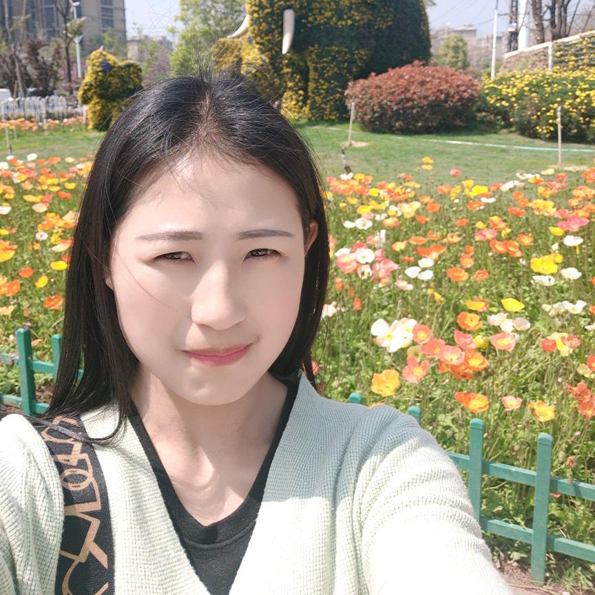 小小凤