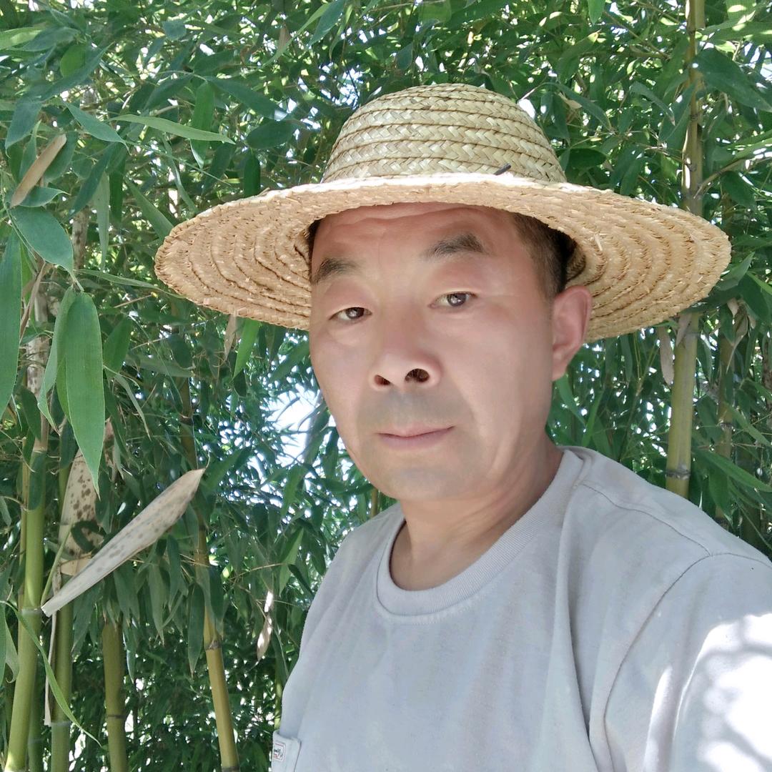 孟培民