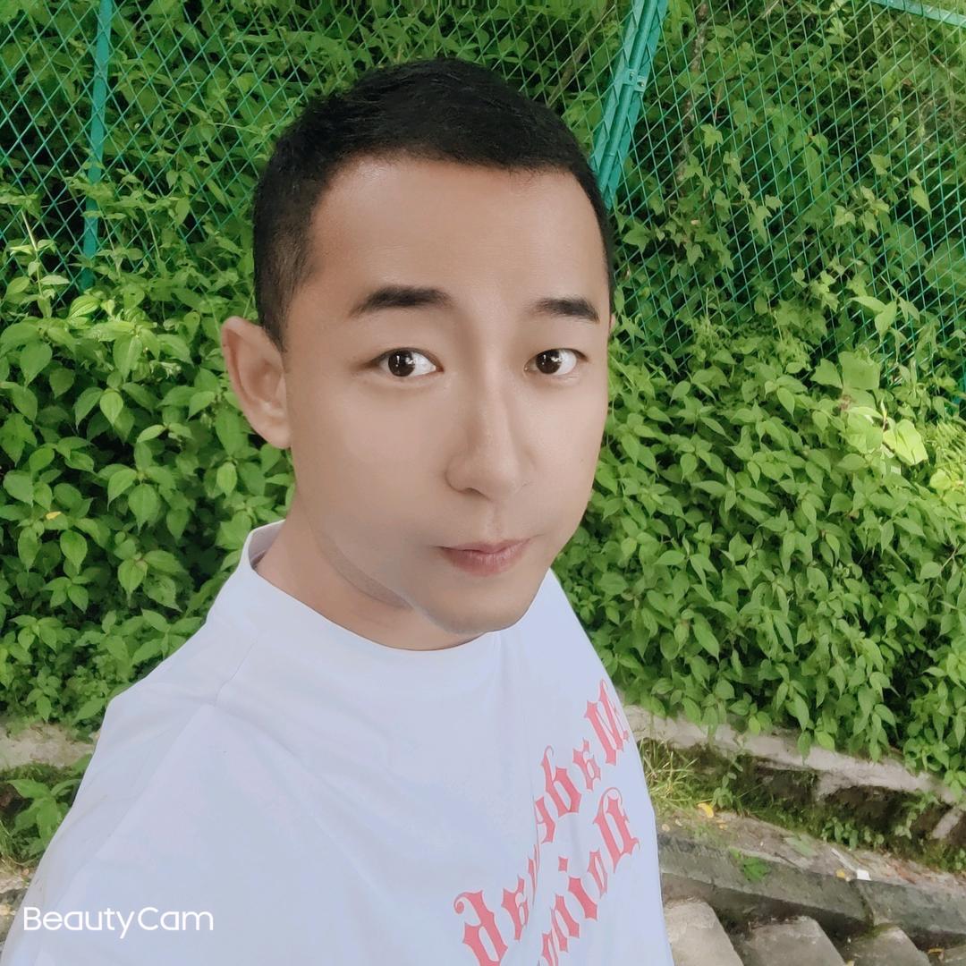 疯狂的泰迪