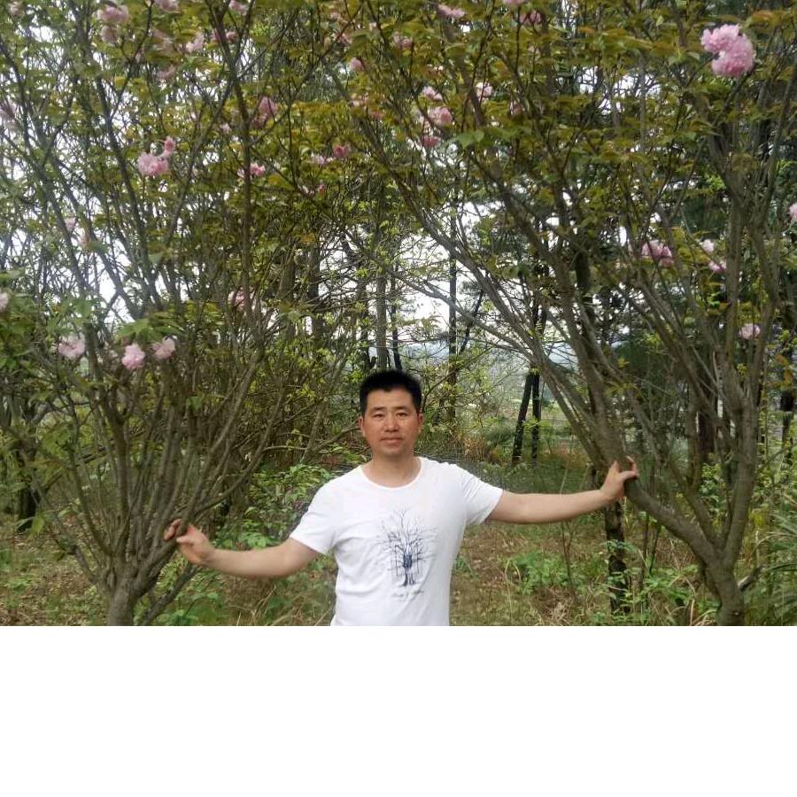 炫彩水磨石《郴州嘉禾》