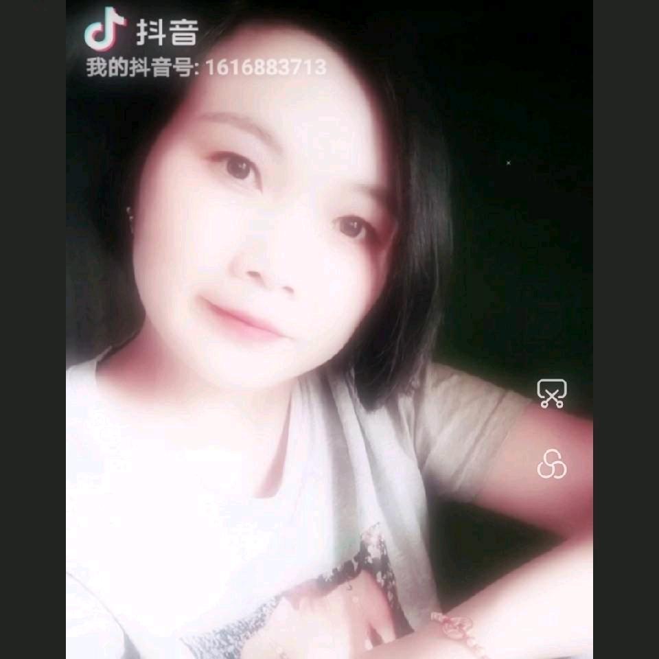 绽放的玫瑰