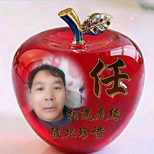 放飞心情