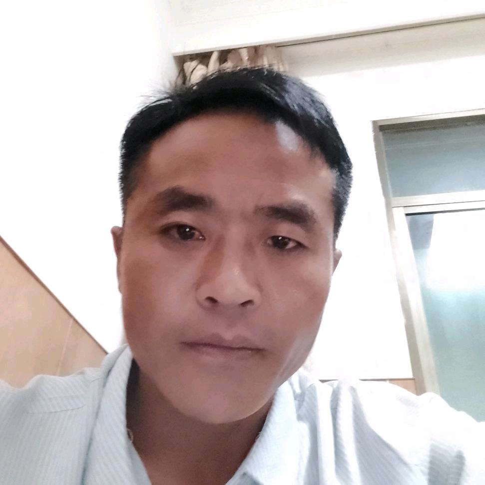 单身情歌