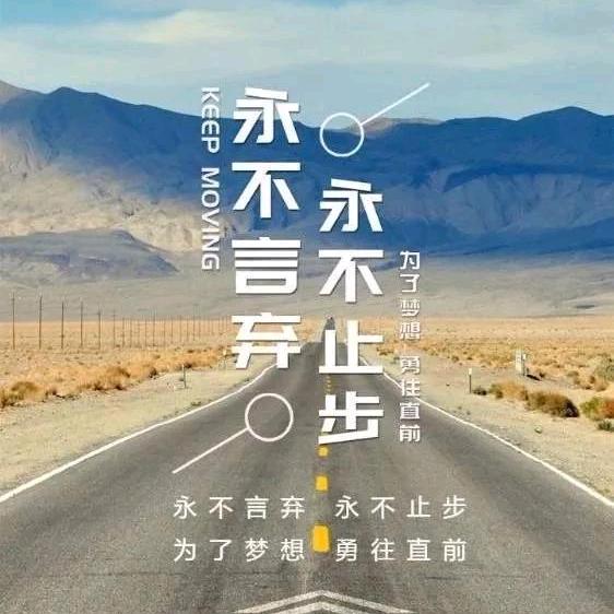 会飞的鱼