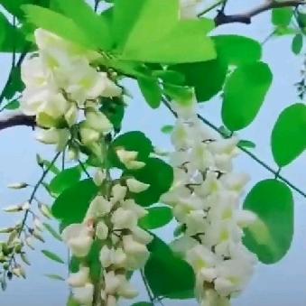 沧海一粟