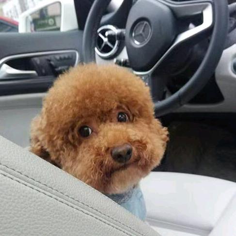 自由多了让人心慌。