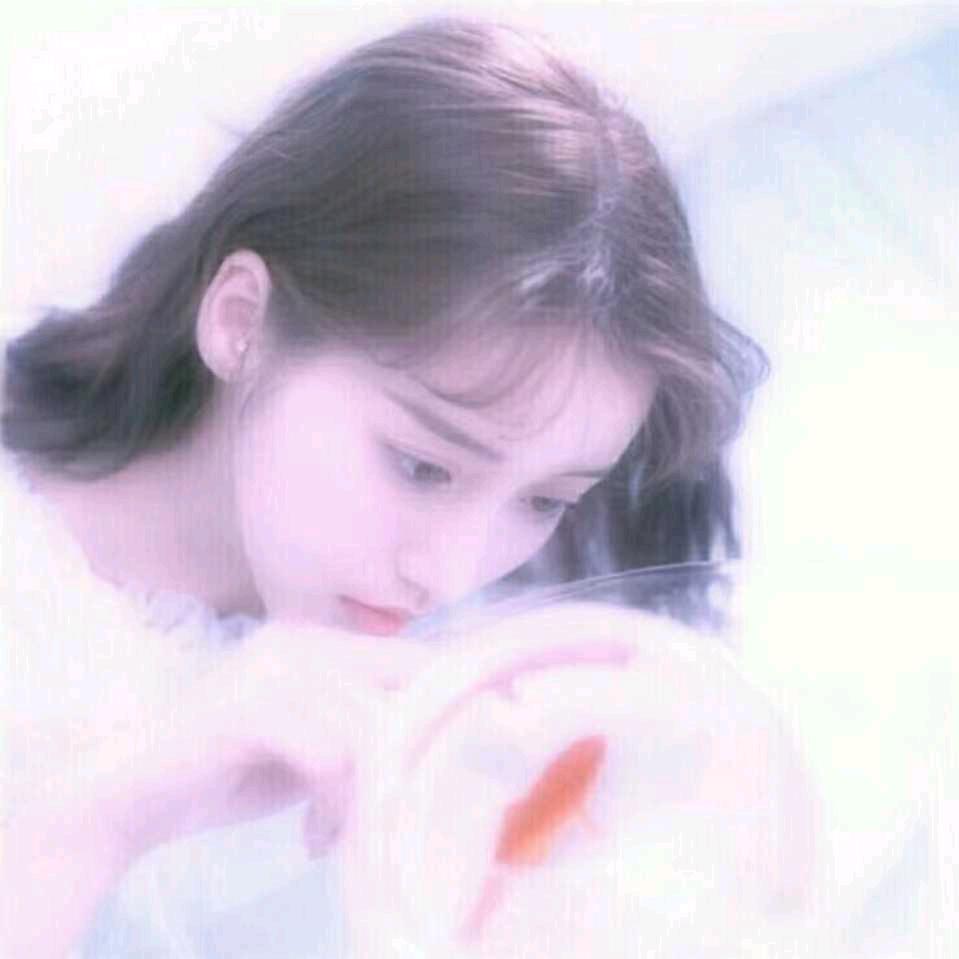 喜欢小红花的赵恩主头像