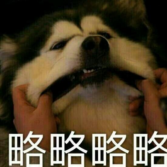 无敌小船长