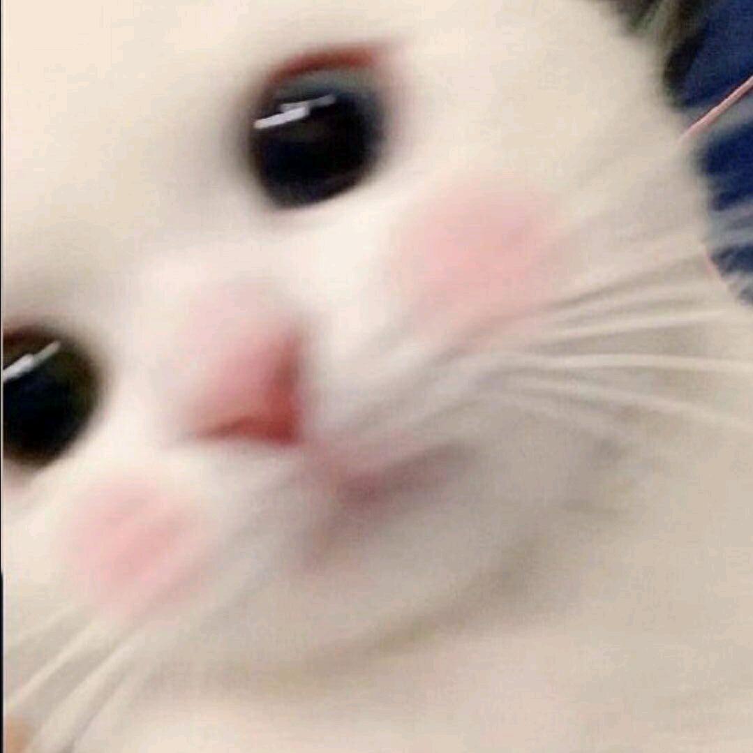 熊酱ovo