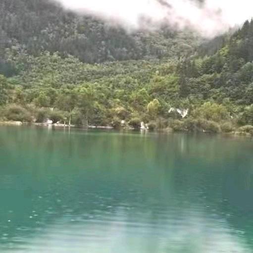 浩雯（大卫博士内裤）