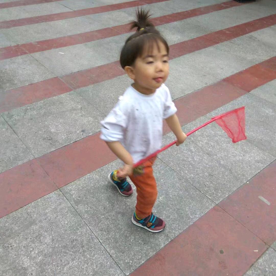 芬