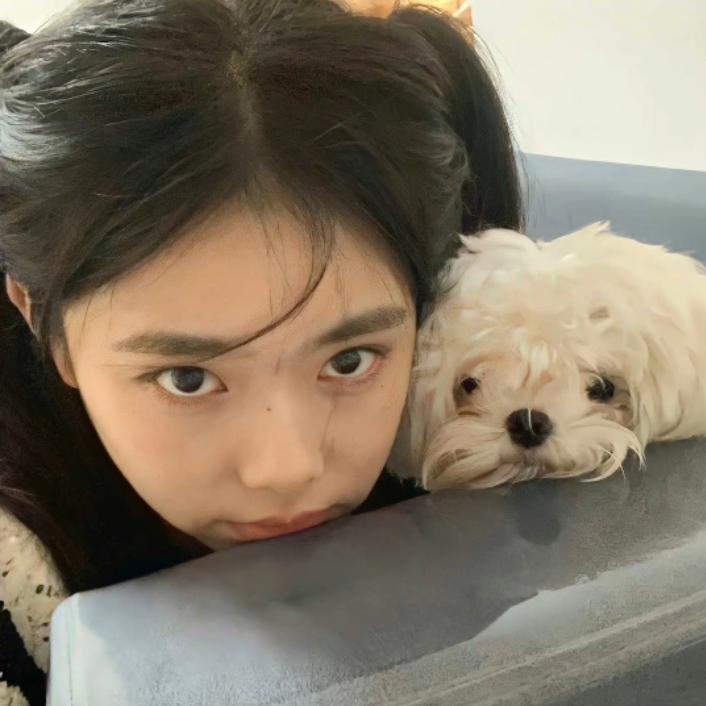奔奔犇