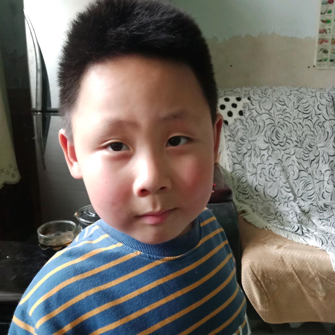 沁阳养牛人《黄山》