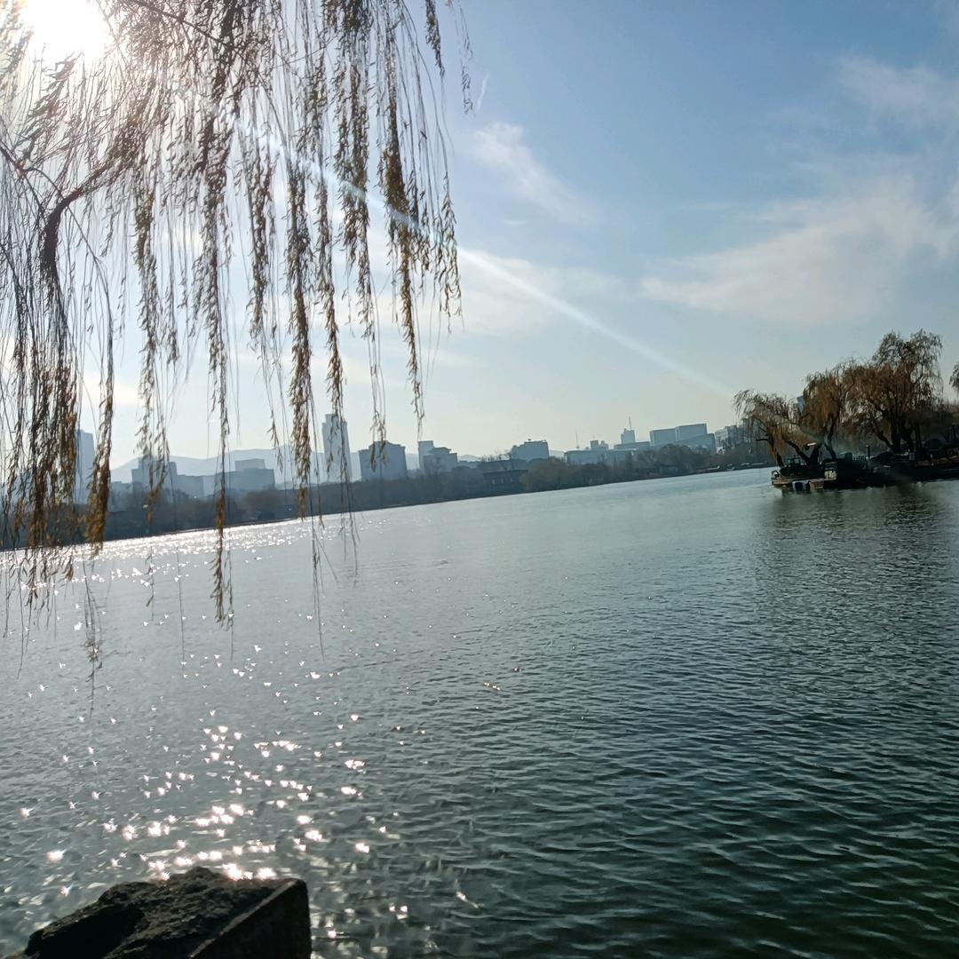 大明湖畔的