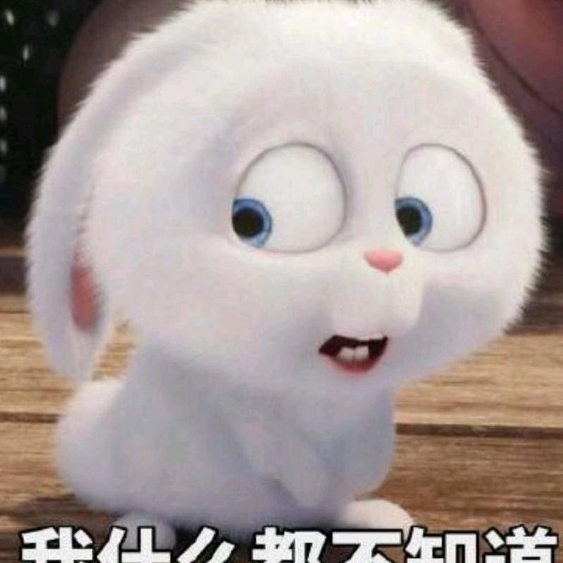 满星