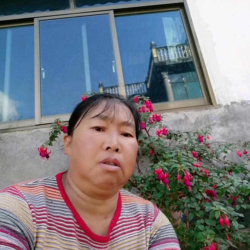 林地
