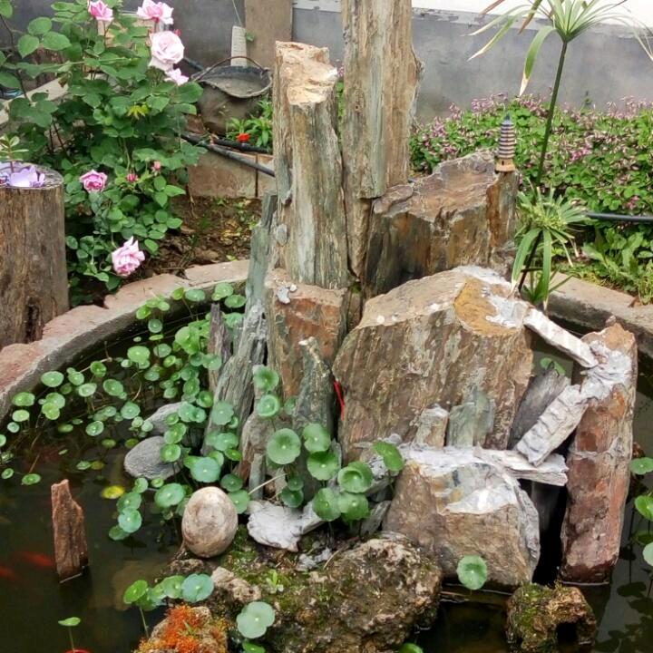 诚实守信，导航，雨赏农业农场。