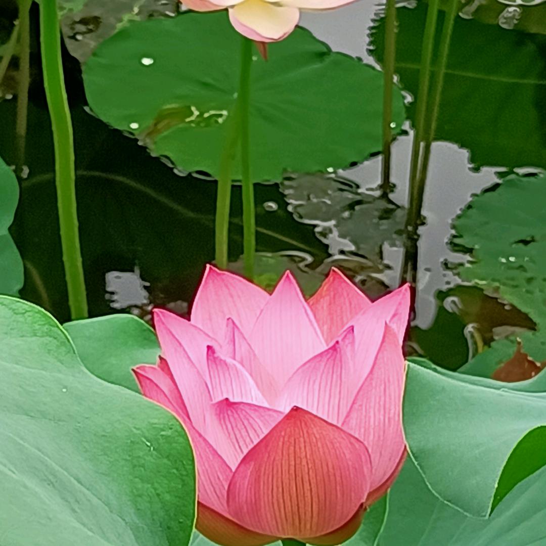 三生有幸遇见你