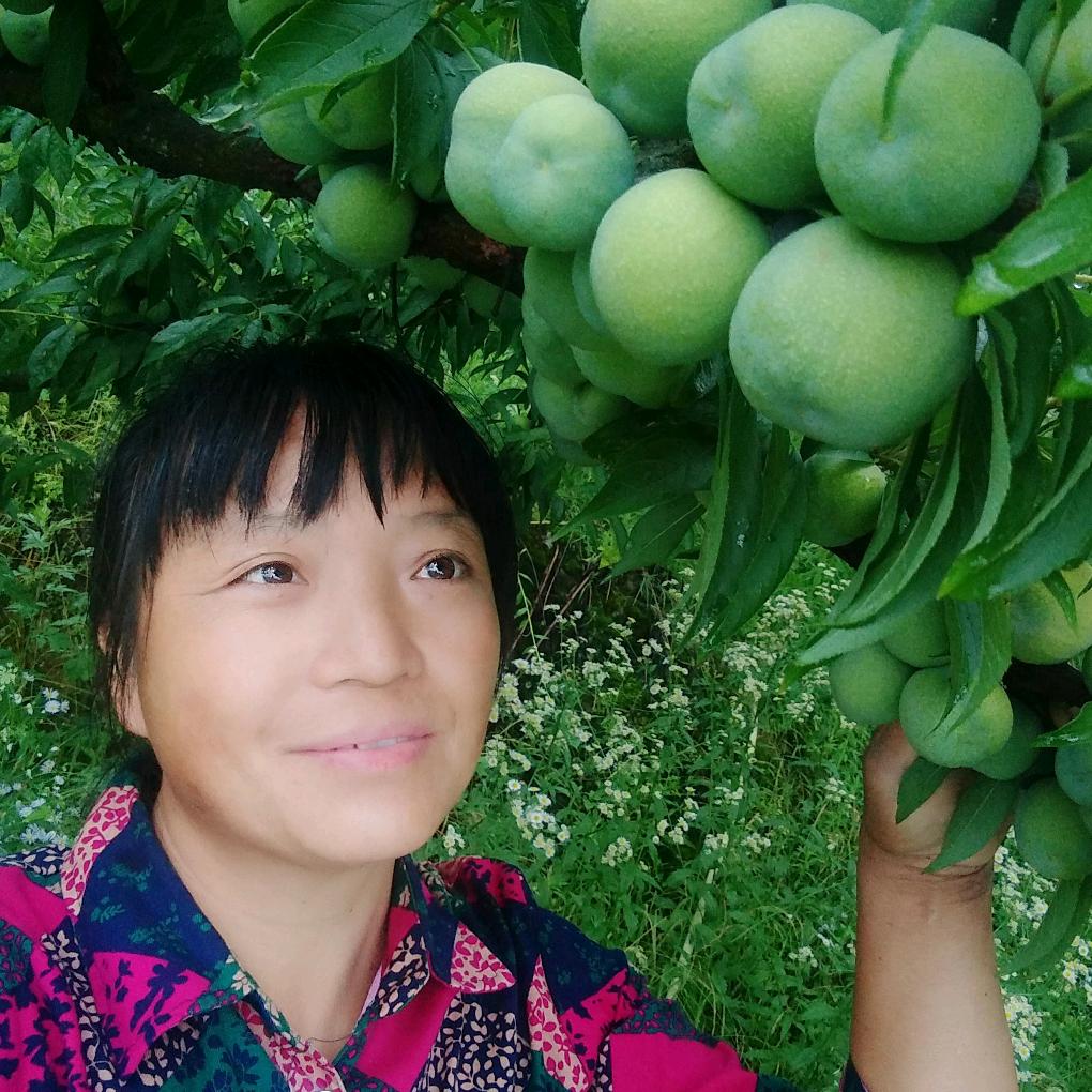 李子果园