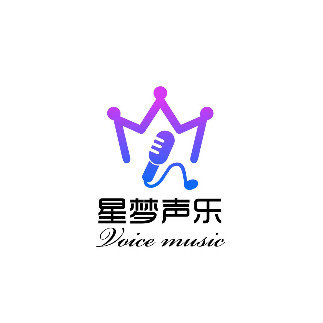 柳州市星梦传媒有限公司