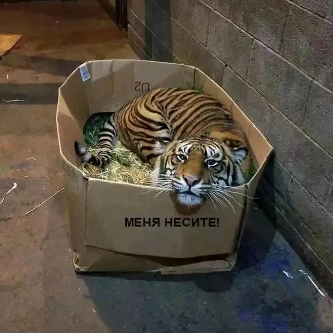 电梯一修