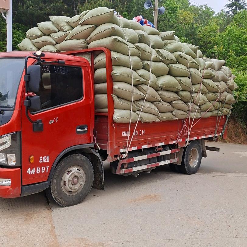 真实的我（松树锯末销售）